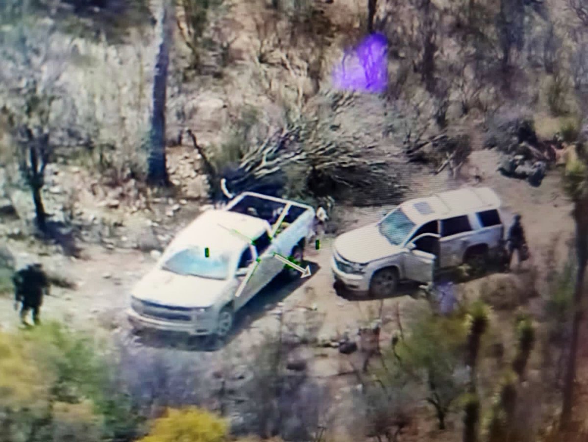 Secretaría de Seguridad y Paz tweet media