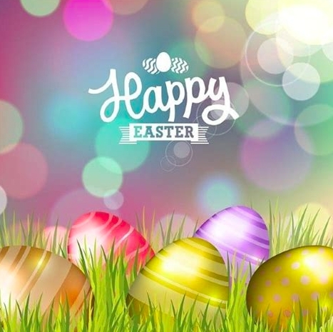 Dynamic Kitchens tweet media