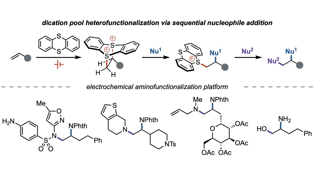 Check out our new platform for alkene aminofunctionalization! We found that dicationic adducts of alkenes and thianthrene undergo selective single substitution by phthalimide to provide a sulfonium salt that can be substituted with various nucleophiles. bit.ly/3nXg2iE