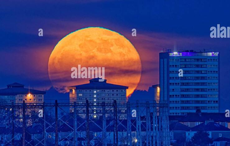 harry hound tweet media