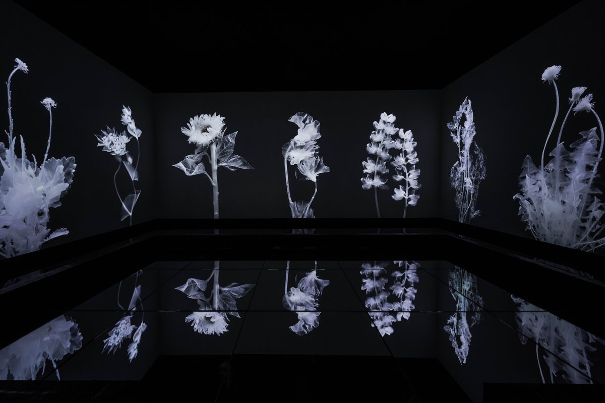 Afterlife projection room as part of Memorabilia, exhibited at Beijing Times Art Museum