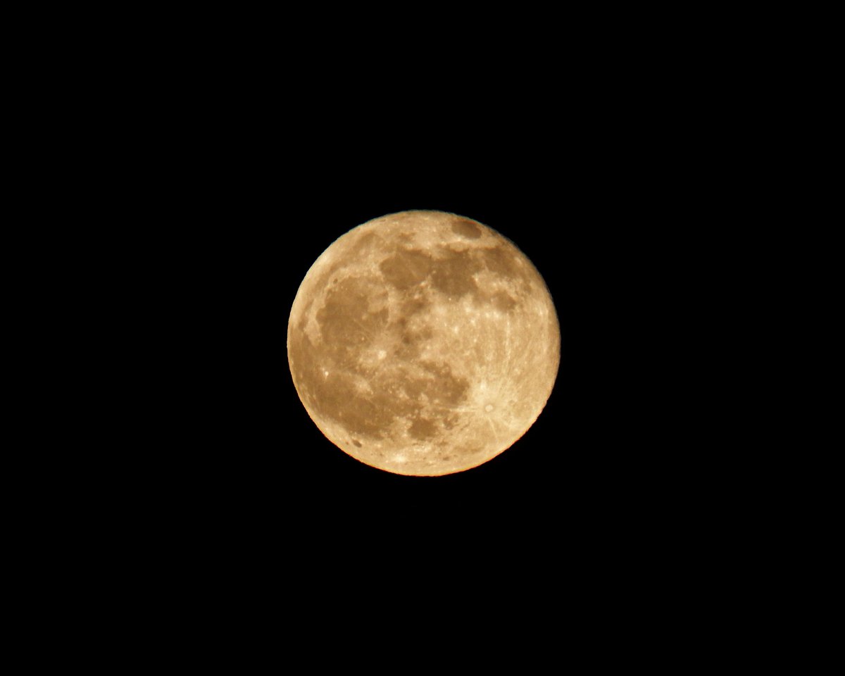 SarahSaddler3's tweet photo. April brings The Pink Moon 💗 
Beautiful as always to watch the full moon rise above the sky.

#aprilfullmoon #FullMoon #PinkMoon2023 https://t.co/HrbhEjzDjZ
