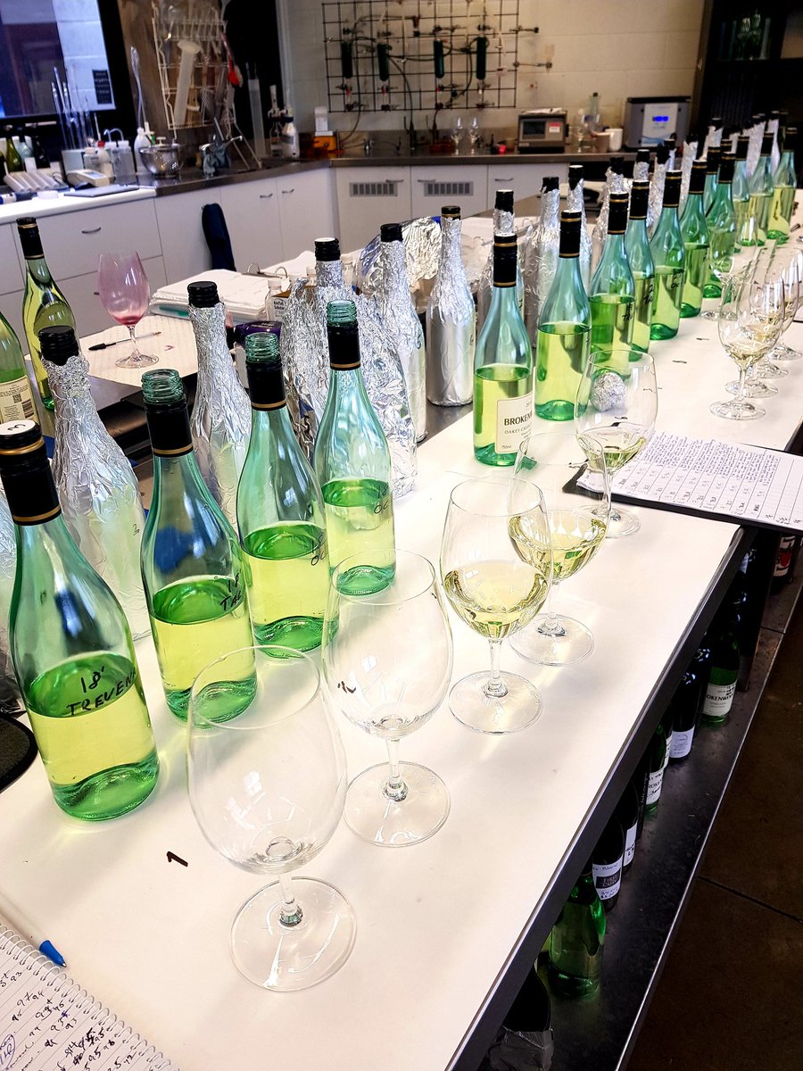 RiggsBW's tweet photo. Always a great day, tasting back through the Reserve Semillons quietly aging. The 2017 ILR Reserve Semillon a hint of toast and honey. Due out later in 2023. 18s, 19s maturing nicely. @Brokenwood #semsational #huntervalley https://t.co/yVl68fZMXB