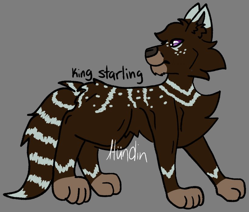 hundincreations's tweet photo. I'm back with character designs!
In order!
King Starling - Queen Starlight father
Queen Starlight - In both normal and cryptid form
And King Tide - Queen Starlight's mate!
#Furry #Art #Furryart #Legacy #Legacycharacter #King #Queen #Royalty #Wolf #Dog #Canine https://t.co/W94nrpCVa1
