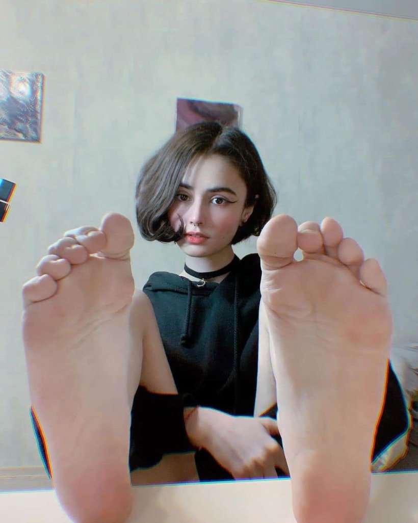 وين حيواناتي