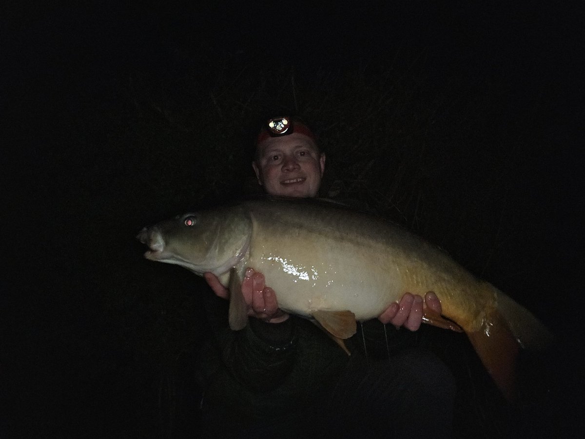 BetsGunner's tweet photo. @RGBaitsUK Artic Crab Pop ups doing the business https://t.co/HcXfB9Qxuh