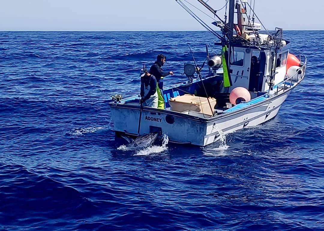 PLANASER 2.0 tweet media