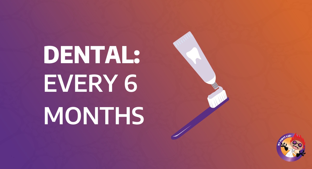 MyFirstLab's tweet photo. Kids should receive checkups  👩‍⚕️ for:
🩺 Physical Wellness: Annually
🩺 Dental: Every 6 Months
🩺 Vision: Every 2 Years

Spark your child's interest in the #medicalfield by teaching them about doctors! 🌟 https://t.co/8awJDxri54

#MFL #MyFirstLab #PublicHealthWeek https://t.co/LIIzWmQqDh