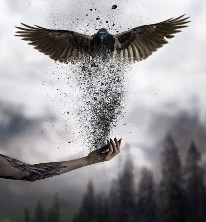 hadeelkreemen's tweet image. "لا تستهينوا بـقلوب وضعتكم بمقام الروح
فـالقلوب التي تحب وتعطي دون مقابل 
قادرة على الرحيل يومـًا بلا عودة إذا لم تجد من يحتويها و يقدرها هي لا تثق مرة أخرى  في نفس الشخص الذي استباح جرحها
#hadeel