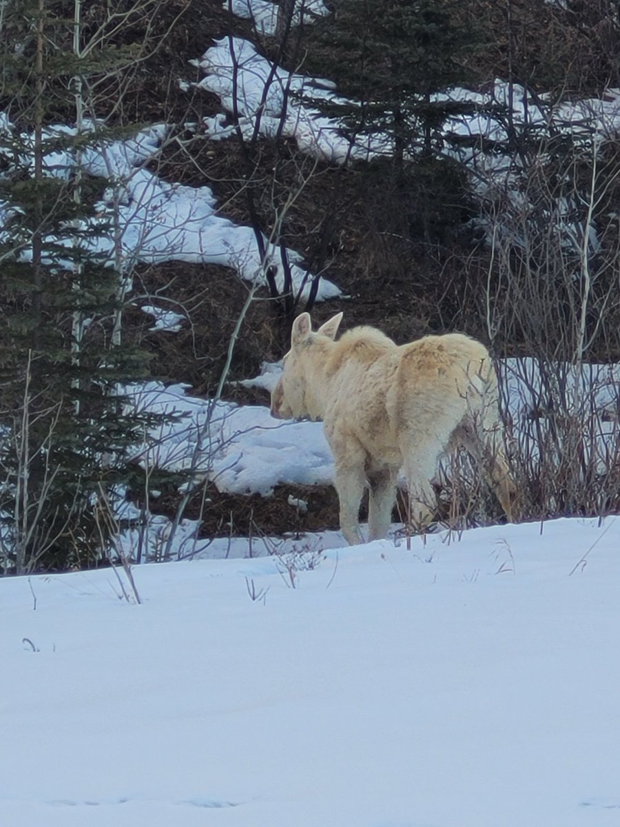 Connect with Sarah Crosbie tweet media