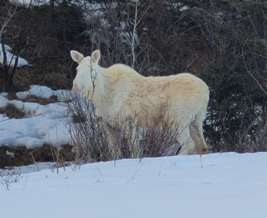 Connect with Sarah Crosbie tweet media