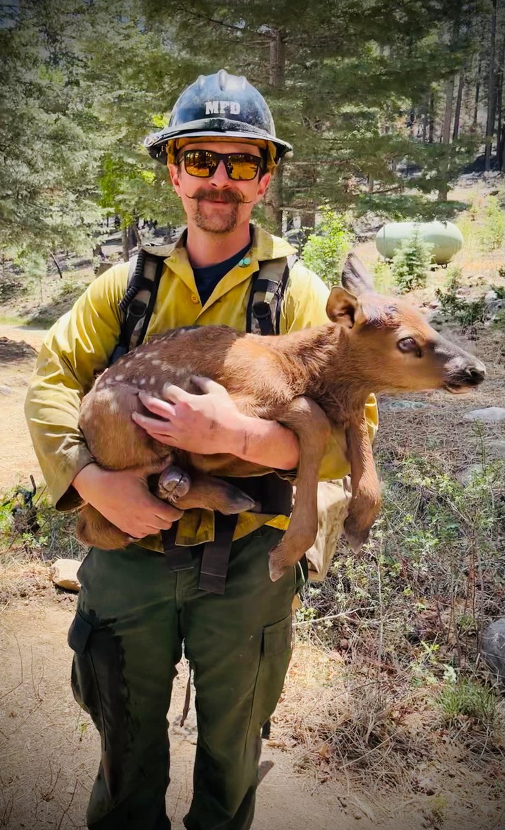 We celebrate #NationalWildlifeWeek by recognizing the DOI and @forestservice #FirefightingResources who work incredibly hard to protect, preserve and rehabilitate our public lands that are home to so many wildlife species. #NotYourOrdinaryJob