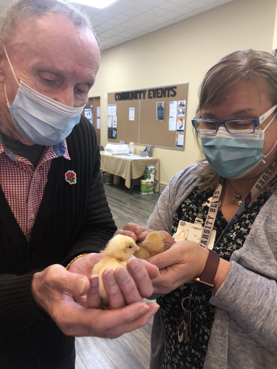 ElliottGuelph's tweet photo. These little guys are all the hype today🐥🐣 our residents, staff and visitors are loving our newest residents ! https://t.co/Hw4xfMeuaN