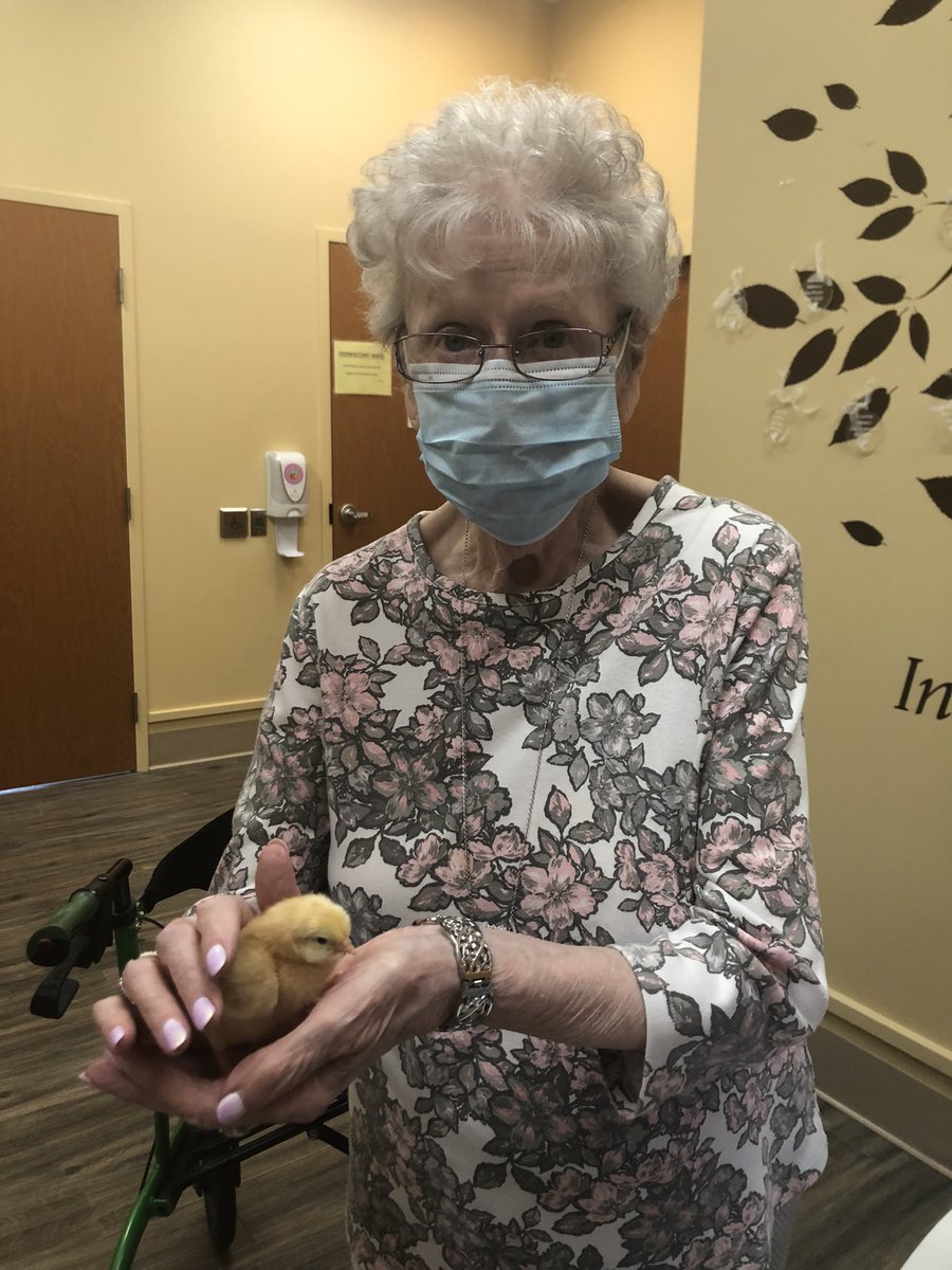 ElliottGuelph's tweet photo. These little guys are all the hype today🐥🐣 our residents, staff and visitors are loving our newest residents ! https://t.co/Hw4xfMeuaN