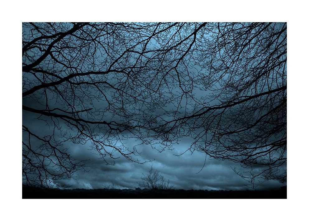 La turmenta infinita.
.
#moodproject
#nature #forest #fog #storm
#minimalmood
#visualpoetry #artnature
#poemavisual #bellesa #melangia
#misty
#landscapephotography #naturephtography #fineartphotography 
#xmanrique