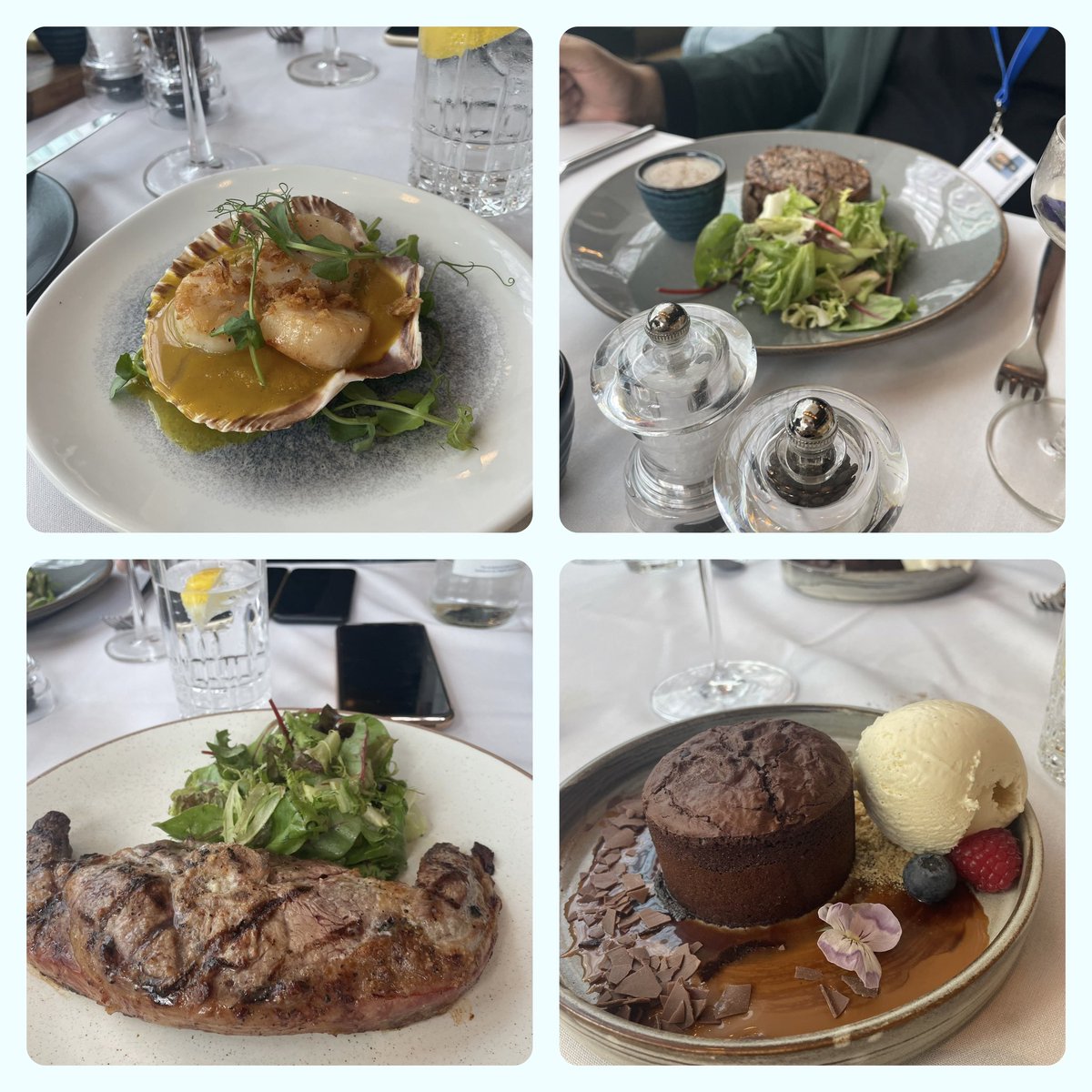 Nicholé McGill-Higgins MCC ~ Queen of The Hive™️ tweet media