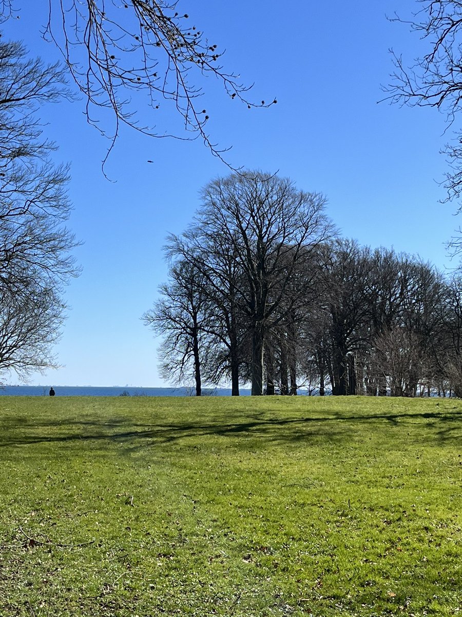 TweetMeNot7's tweet photo. Perfect place and weather… #tent #outing #forest #seashore #sunny #europe https://t.co/S2pRGQoAS3