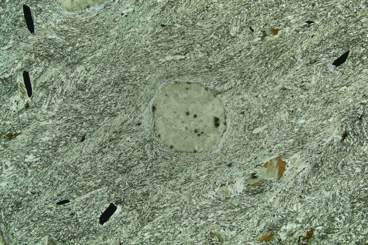 SpectrumPetro's tweet photo. Garnet porphyroblast replaced by pennanite (blue in XPL and green in PPL) with relic radioactive mineral damage (dark spots).

#spectrumpetro #thinsectionthursday #thinsection #geology #mineralogy #science #nature #Minerals #mineral #science #rocks #petrography https://t.co/48lZnY7CsX