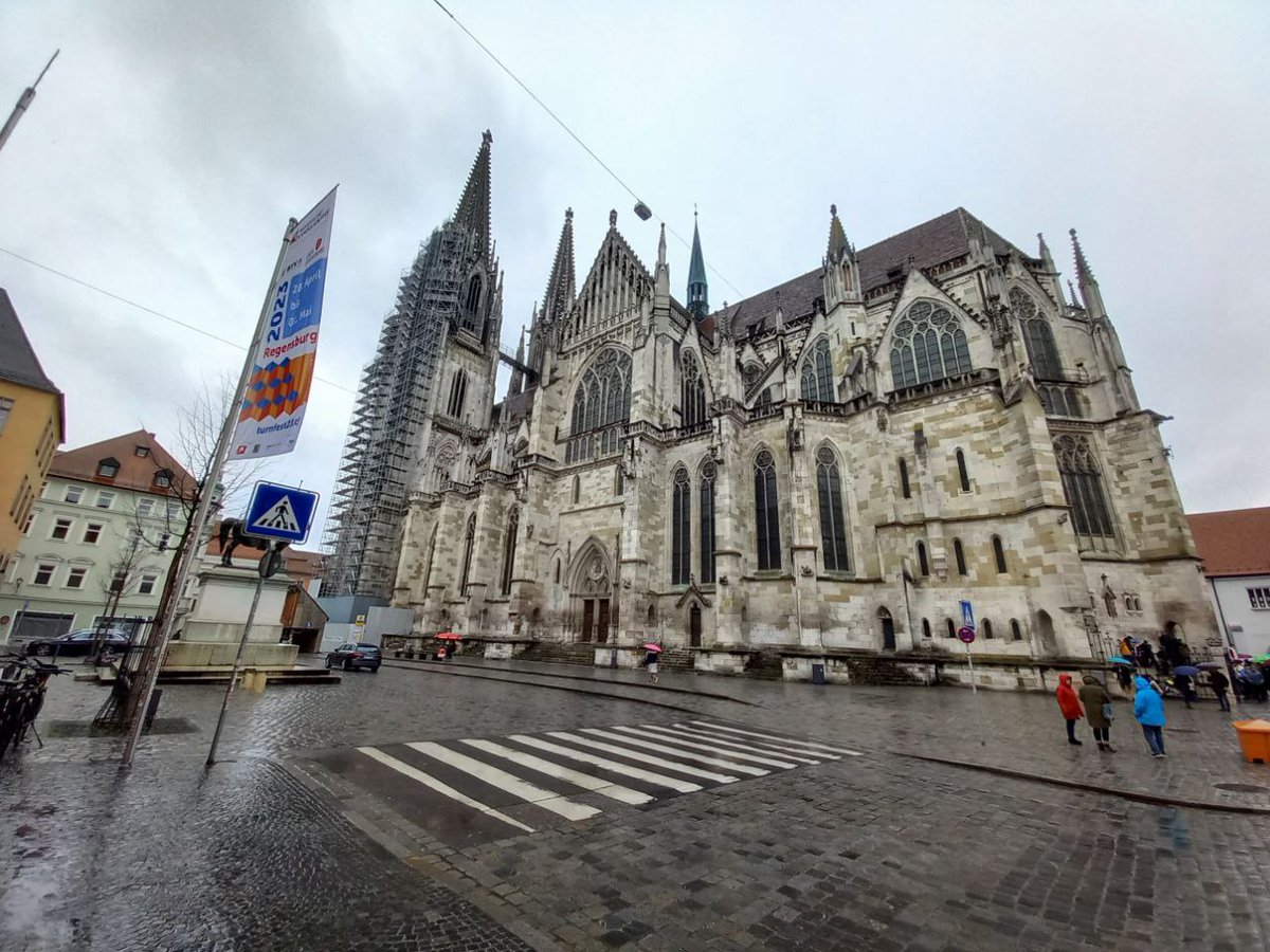 Deutsche Wanderfalken tweet media