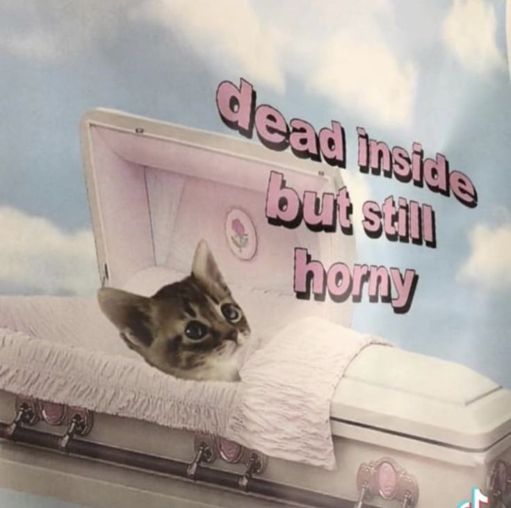 Realize_Defeat's tweet image. не могу понять это я хорни или просто обострение