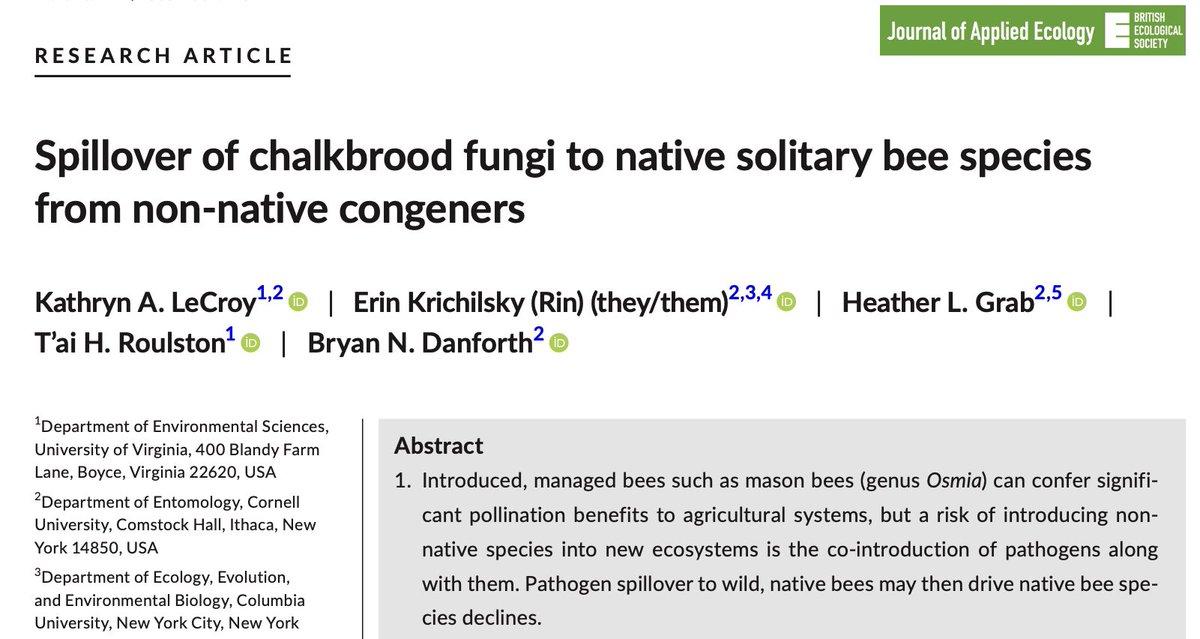 Excited to share we’ve got a new paper out evaluating spillover of fungi *from* non-native mason bees *to* native mason bee species. We worked with 100 community scientists to make this study happen! #Osmia #communityscience <a href="/Bee_Whiz/">Erin (Rin) Krichilsky, they/them</a> <a href="/JAppliedEcology/">Journal of Applied Ecology</a> 
tinyurl.com/asco-spread
