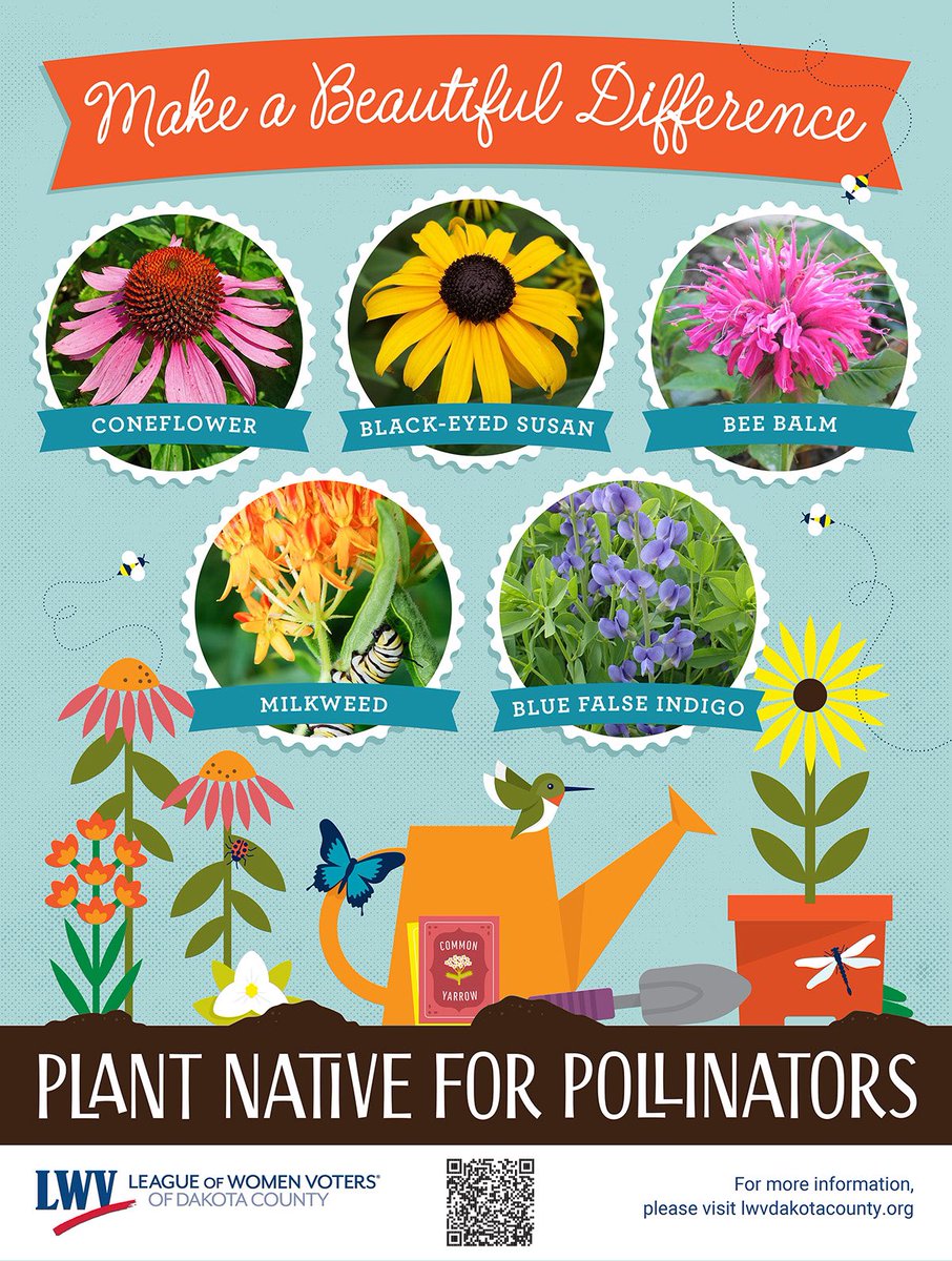 <a href="/LWVDakotaCty/">League of Women Voters of Dakota County</a> <a href="/CityOfLakeville/">City of Lakeville, MN</a> <a href="/BurnsvilleMN/">City of Burnsville</a> <a href="/CityofEagan/">City of Eagan</a> <a href="/farmingtonmn/">City of Farmington, MN</a>