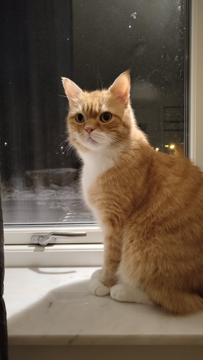 Jonathan Asplund tweet media