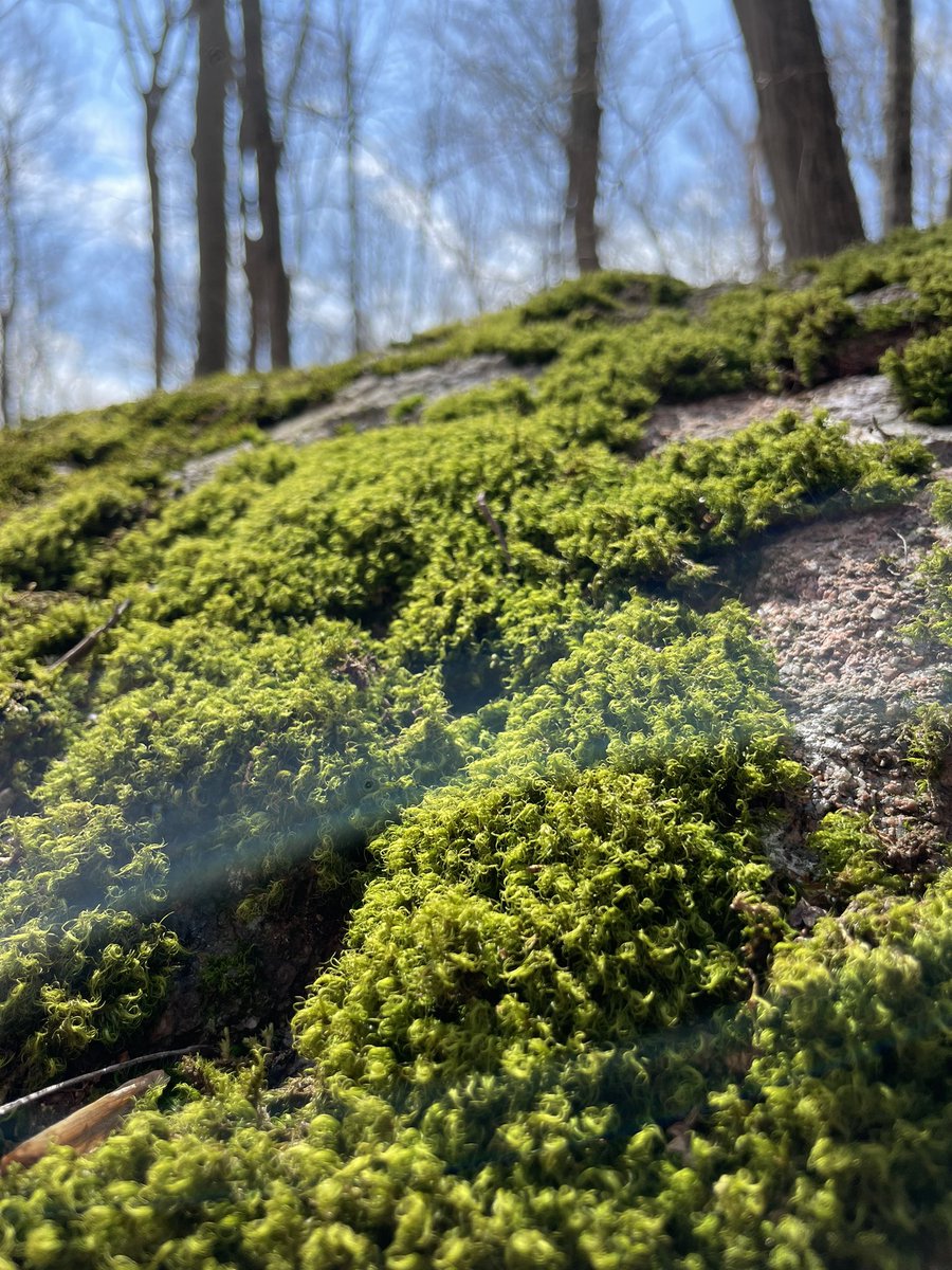 Carolyn Blackburne tweet media