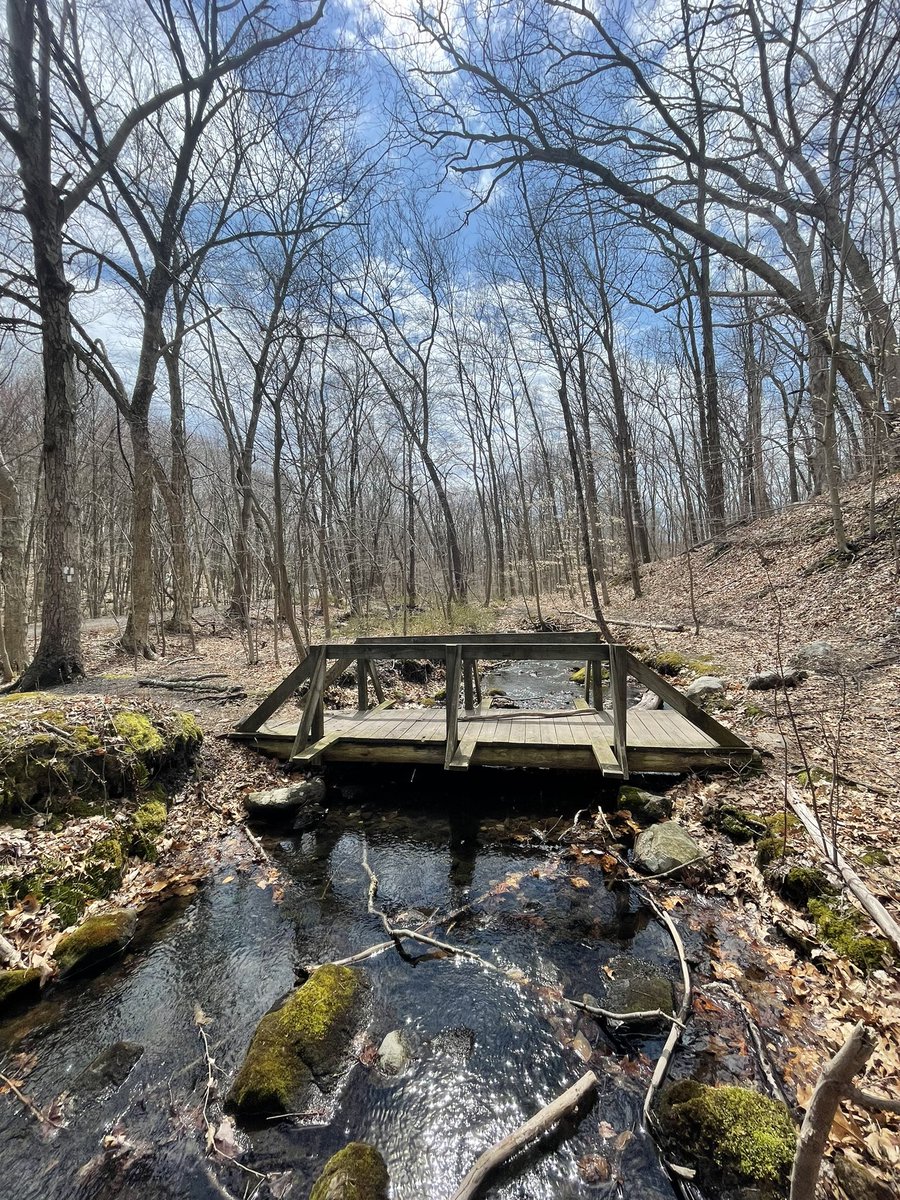 Carolyn Blackburne tweet media