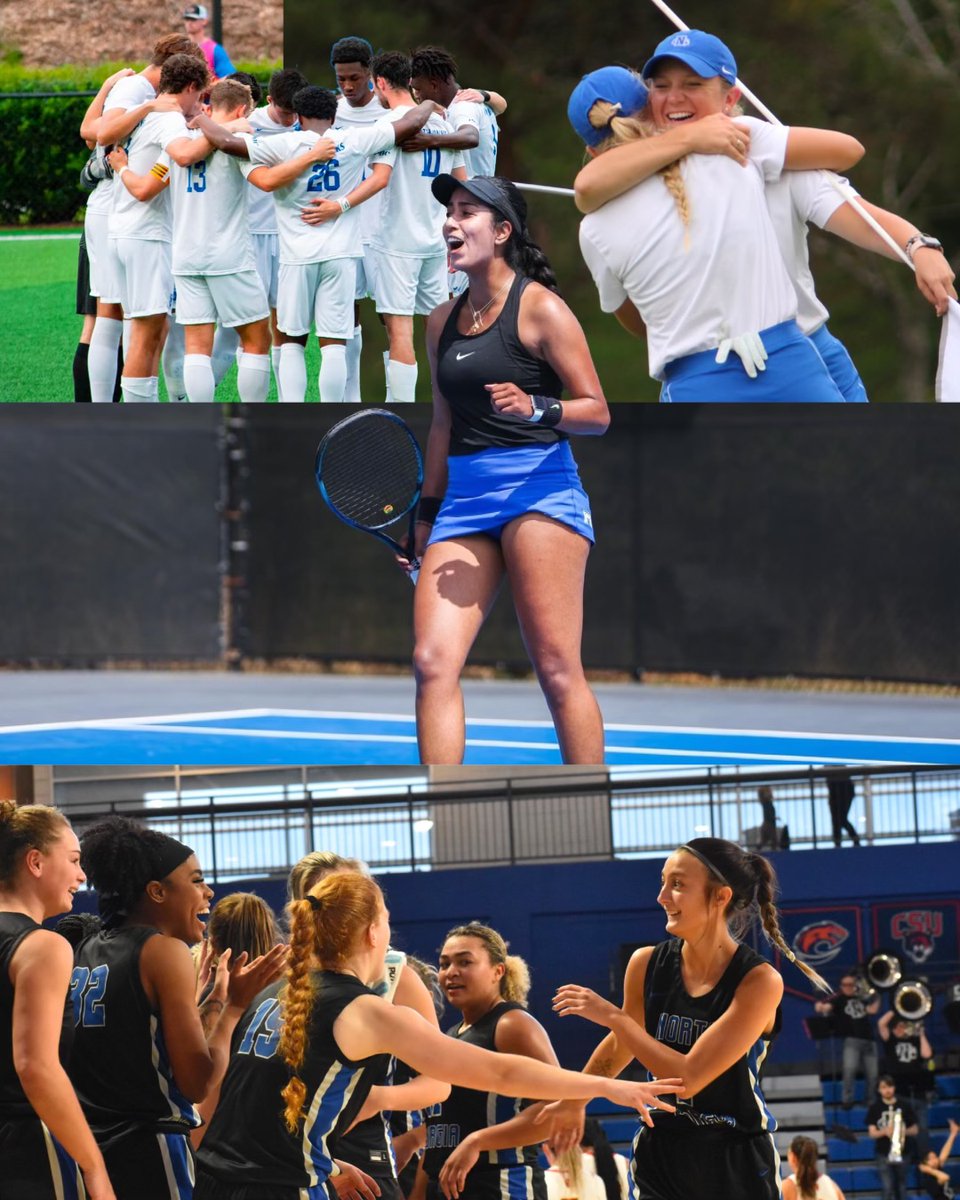 UNG Nighthawks tweet media