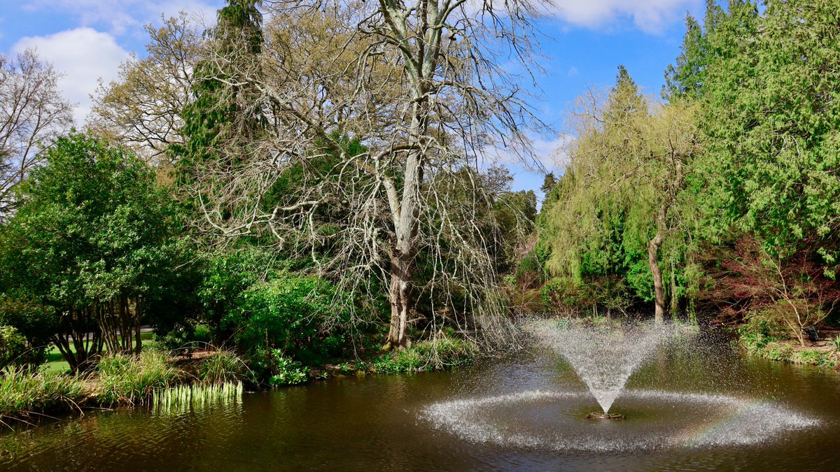 ExeterGuild's tweet photo. 🌸 Spring has arrived on our campuses 🐝

We might be biased, but we think @UniofExeter has the prettiest campuses ever 😍

If you've visited one our campuses, where are your favourite spots to enjoy? https://t.co/ZcpBvrvG6b