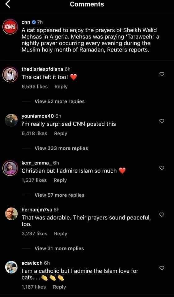🔴
ماذا لو أطلقنا عليه لقب #ابو_هريرة 
قناة CNN الأمريكية نشرت على موقعها عبر انستجرام فيديو الامام الجزائري وليد مهساس
وجاءت بعض التعليقات من غير المسلمين
- "لقد شعرت القطة بالهدوء القوي
- " لا أعرف ماذا يقول لكنه جميل جدًا
- " يا الله، لقد أزال كل قلقي، يالها من لحظة بهيجة