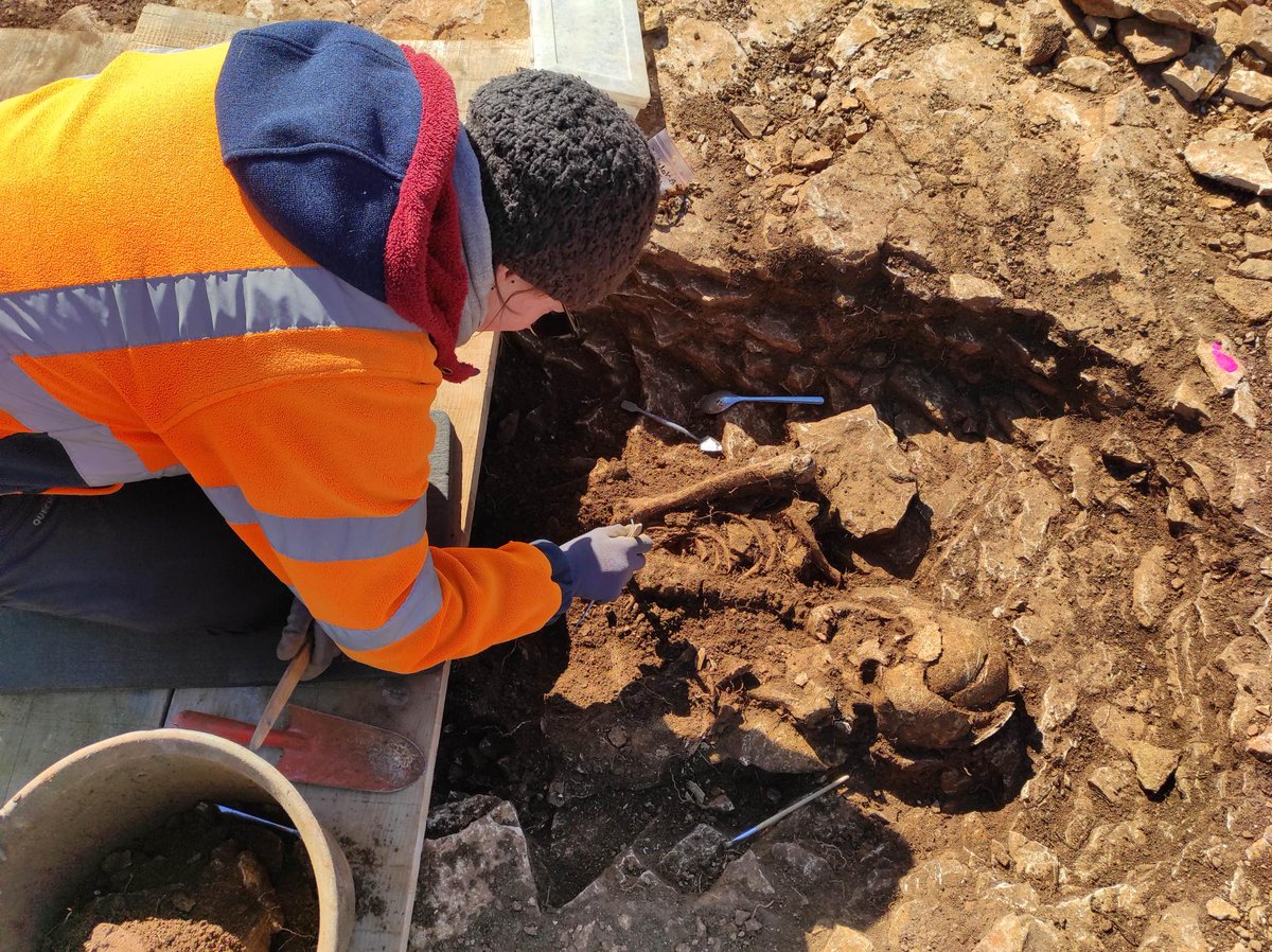 Inrap's tweet photo. [✨ #Actu] À Andelot-Blancheville, en Haute-Marne, une équipe de l'Inrap étudie une partie d’un cimetière médiéval.

En savoir plus 👉 https://t.co/cxwQ784N0q https://t.co/bEtZ5asiqe