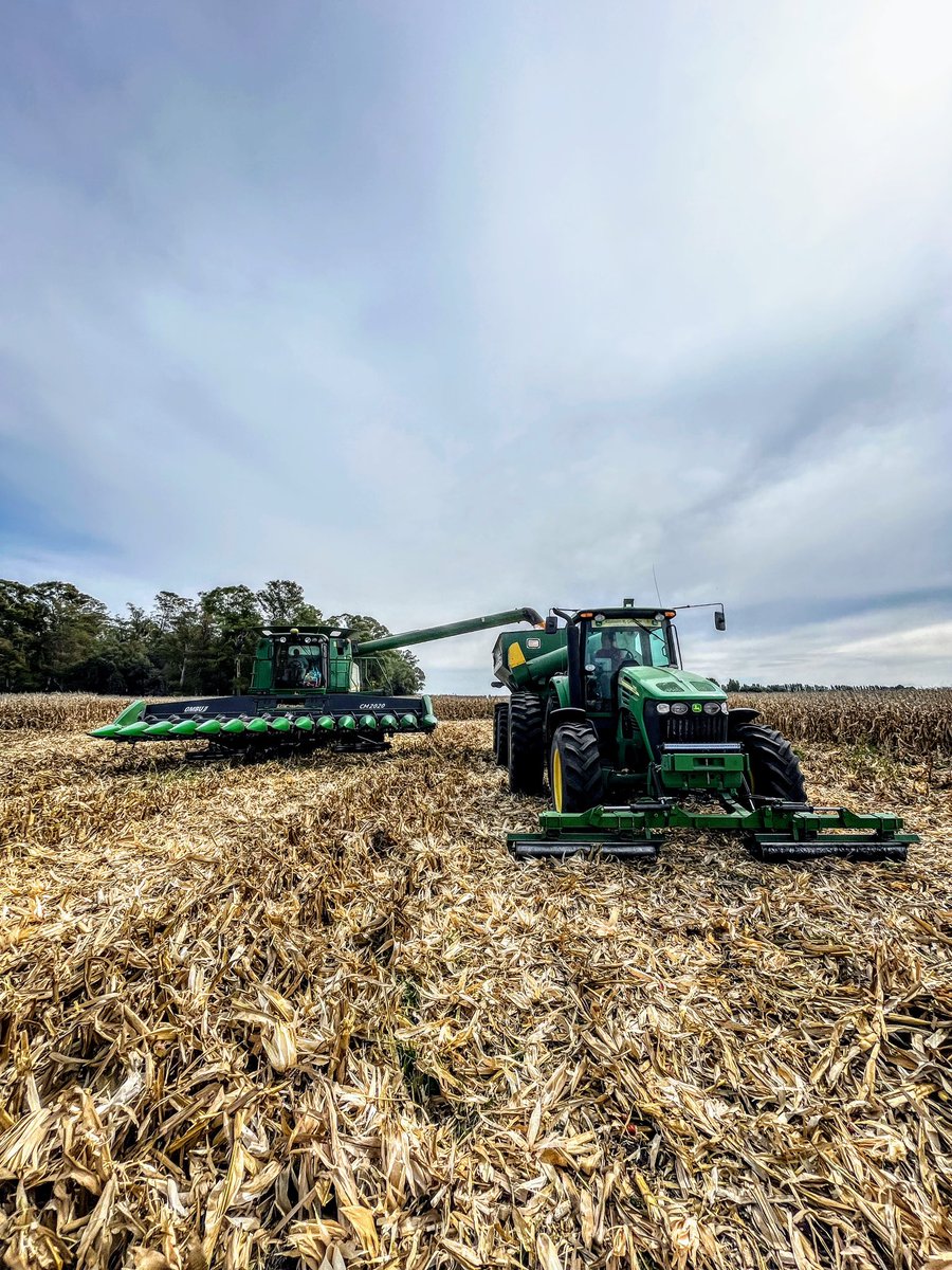 Joaquin del Rio tweet media