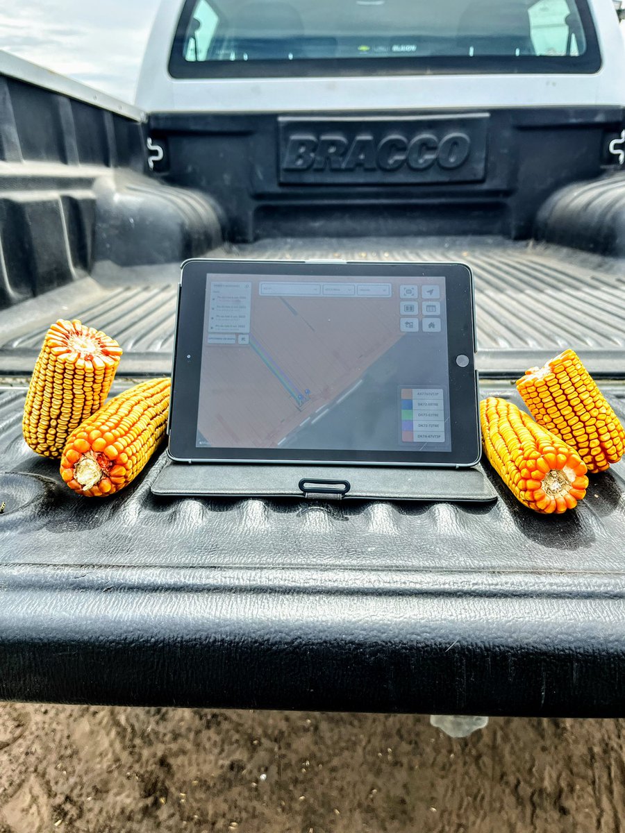 Joaquin del Rio (@japo_ls08) on Twitter photo Jueves de ensayos en EA San Gregorio, recolectamos datos con <a href="/FieldViewArg/">FieldView Argentina</a> para demostar el potencial de los híbridos de <a href="/DekalbArgentina/">DEKALB Argentina</a> 🌽🥇 Jueves de ensayos en EA San Gregorio, recolectamos datos con <a href="/FieldViewArg/">FieldView Argentina</a> para demostar el potencial de los híbridos de <a href="/DekalbArgentina/">DEKALB Argentina</a> 🌽🥇