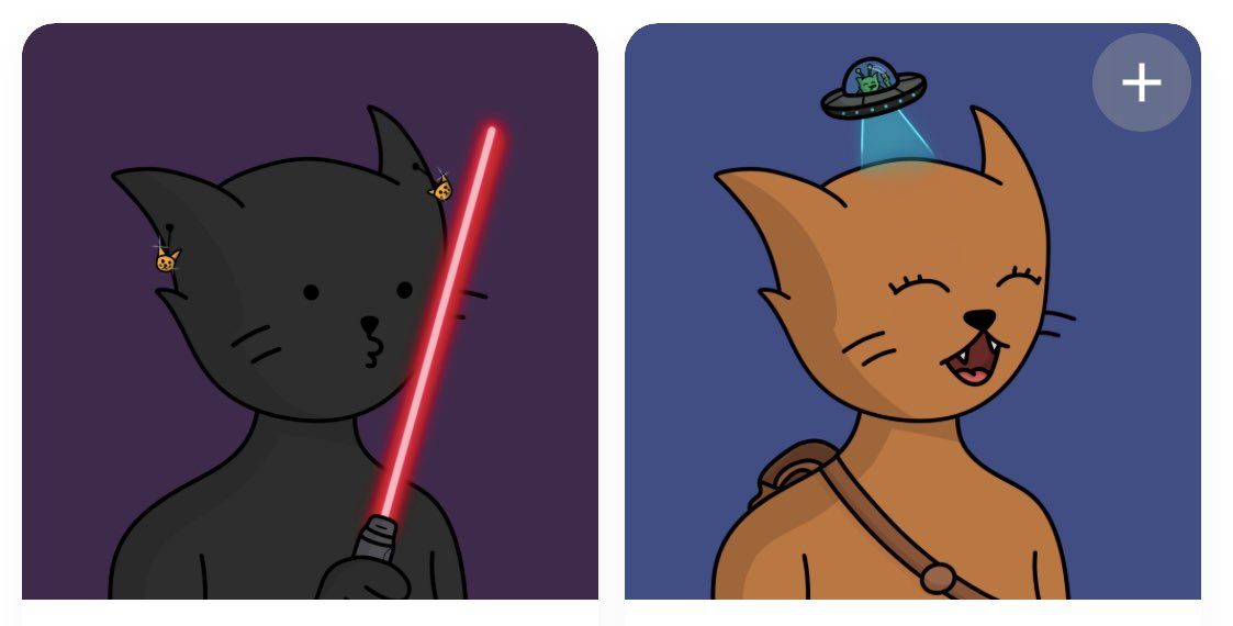 dr~blor 🦠 tweet media