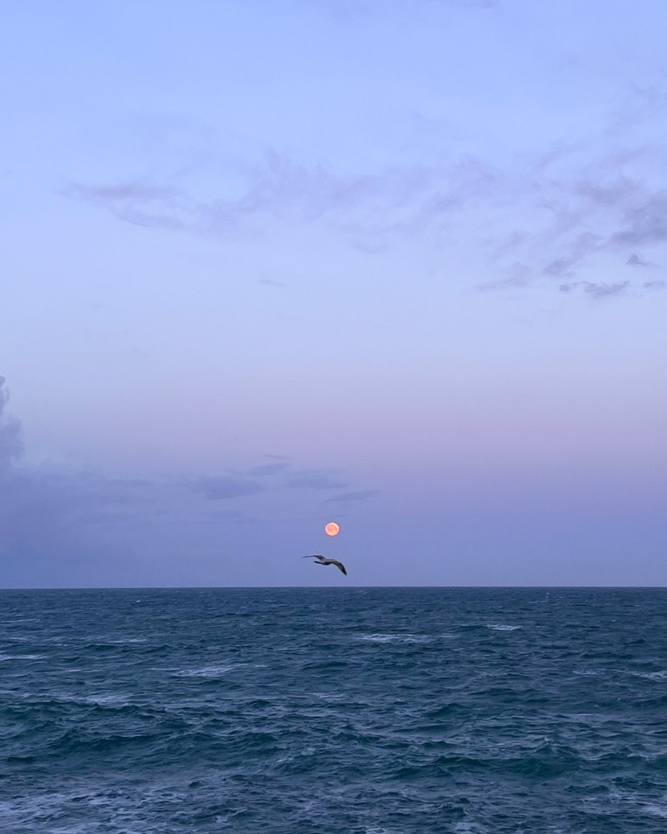 Year three of watching your sunrise, this year you sent the moon instead 🤍