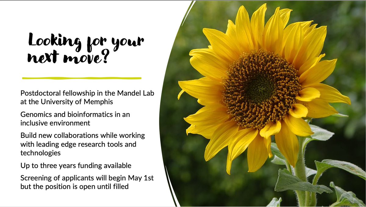 New #postdoctoral opportunity in our lab group! workforum.memphis.edu/postings/35773 DM with questions! RT please 🌻