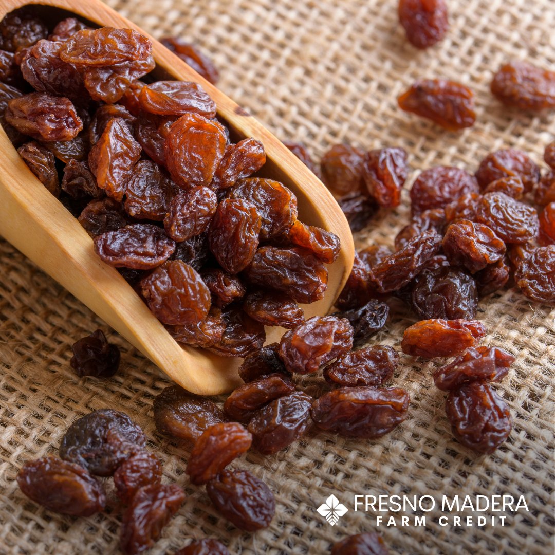 FresnoMaderaFC's tweet image. Happy National Raisin Day! 🎉🍇

Today, we celebrate the tiny, but mighty raisin - a delicious and nutritious snack that packs a powerful punch. Did you know that raisins are a great source of fiber, antioxidants, and essential vitamins and minerals? 😋

#NationalRaisinDay