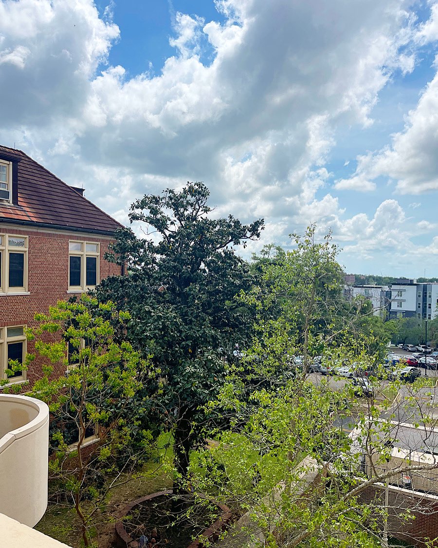 If you ever need to take a breather after English class, we suggest stepping out into the garden between the Williams building and the Diffenbaugh building! 🌿☺️

Want some help with final essays? Make an appointment with us today, link in our bio! 🔗