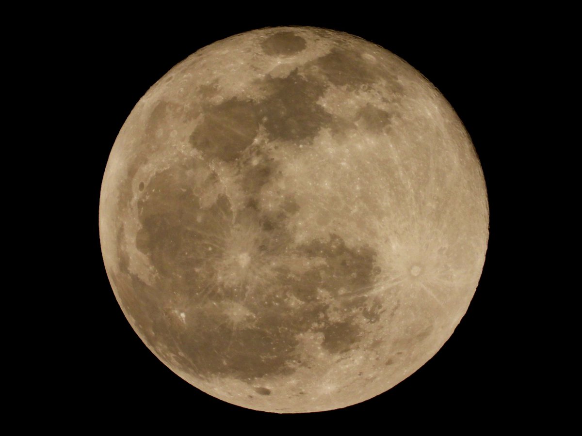 anuradhamathur's tweet photo. #Chand khila #PinkMoon #springmoon #moon #HanumanJayanti
#eastermoon #Poornima #IndiAves https://t.co/ERomwss1SY