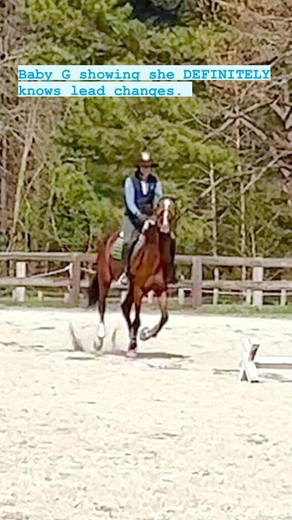 BlueCrowBooks's tweet photo. Blue Crow just posted to Instagram! Check it out: Did you see them??? I did TWO, Mommy! 😂😂😂 #horsegirl #horseygirl #horsegirls #horses #equestrian #equine #equestrianlife #ponylove #pferd #horselovers #hunterjumper  #kwpn #jumperhorse #warmbloodhorse… https://t.co/4vjjE1oRjy https://t.co/aoVNFJNQap