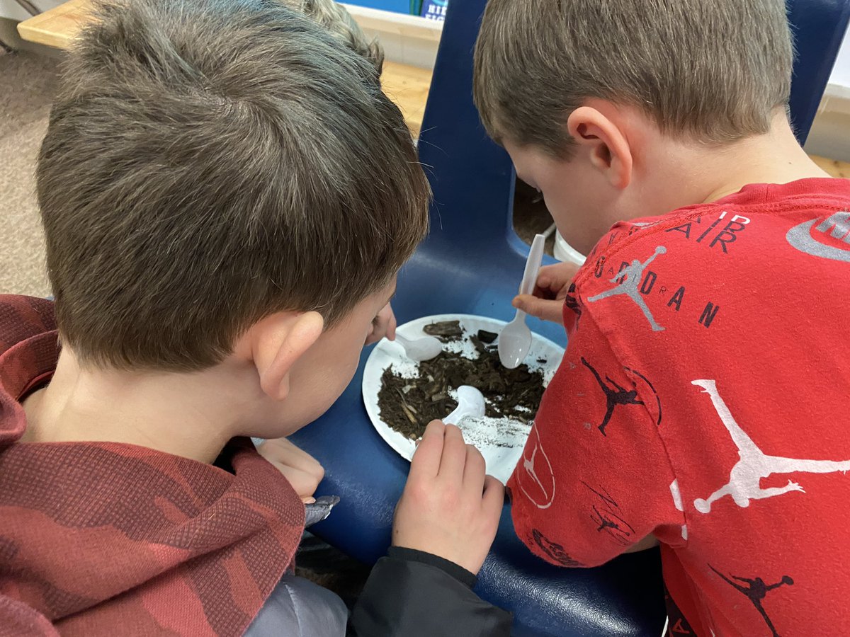 MrsChangGrove's tweet photo. This week we began our new science unit on Soil, Rocks, & Landforms. We sorted the components of soil and studied physical weathering by shaking rocks in a jar. ~Emma. #WeeklyStudentTweets #WeBelong220 #ScienceInvestigations @GroveAve220 https://t.co/61TJsymRsM