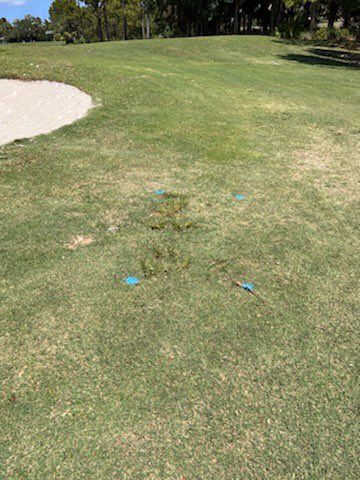 RightLine LLC tweet media