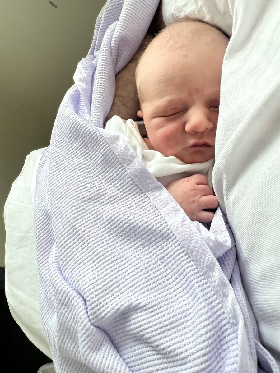 Right Turn Clyde tweet media