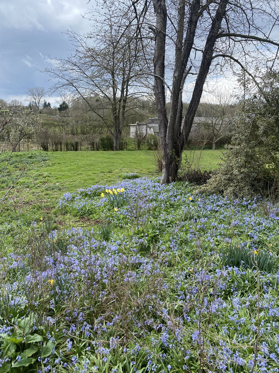 robstew28 tweet media