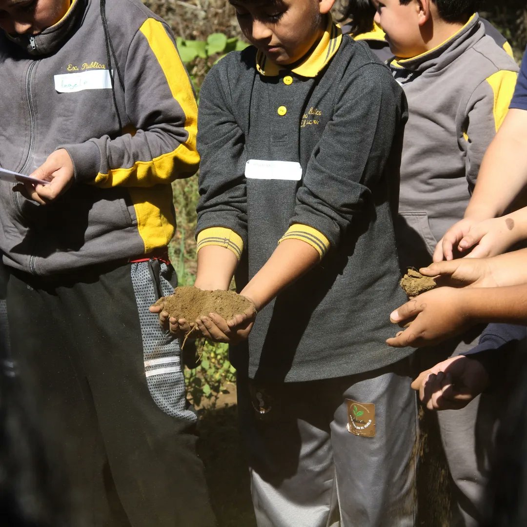 SoilLab.ufro tweet media