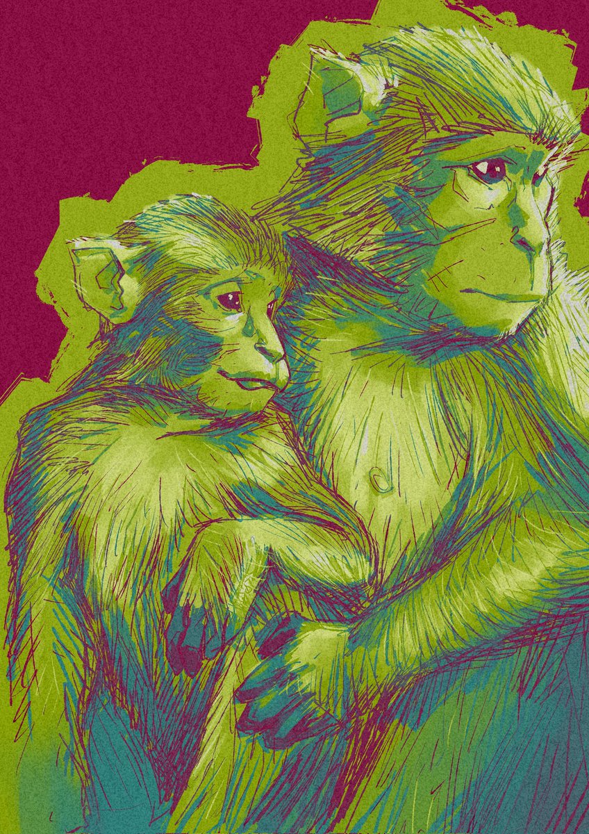 greenisagoodboy's tweet photo. had fun drawing monkeys
#digitalart https://t.co/6WUnpgXIbw