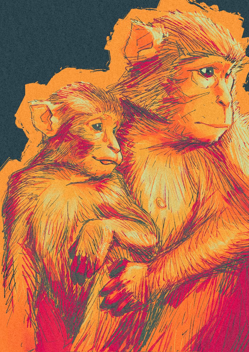 greenisagoodboy's tweet photo. had fun drawing monkeys
#digitalart https://t.co/6WUnpgXIbw