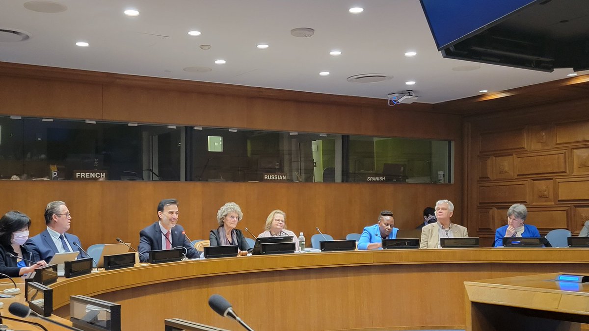 'There is no question that there are normative and protection gaps', says @CraigMokhiber at the @HelpAgeDE & @bagso_de side event. 'The challenge is a political challenge, it is getting those gaps recognised.' 👏👏👏

#OEWG13 #AgeWithRights